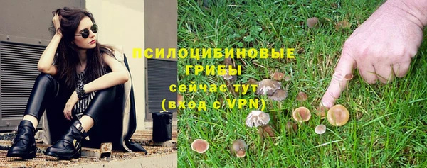 mix Белокуриха