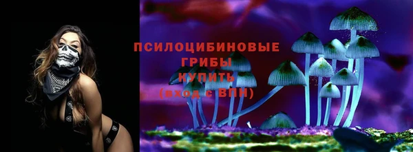 индика Белоозёрский