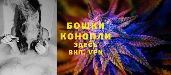 индика Белоозёрский