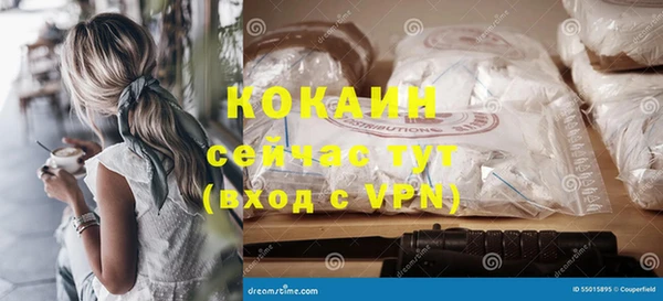 индика Белоозёрский