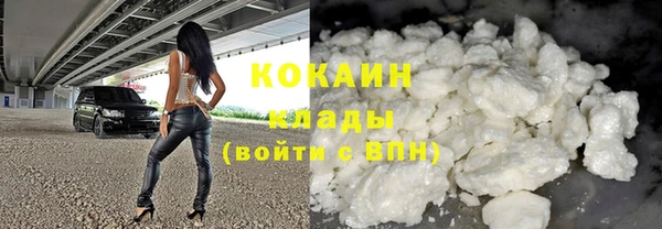 индика Белоозёрский