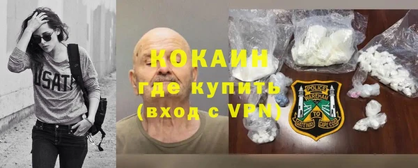 индика Белоозёрский