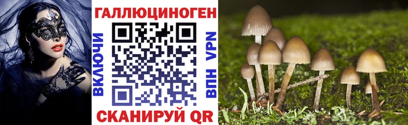 Галлюциногенные грибы Psilocybe  Альметьевск 